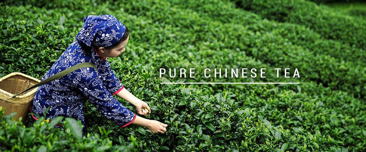 الصين أفضل الشاي الصيني الاسود العضوي في المبيعات